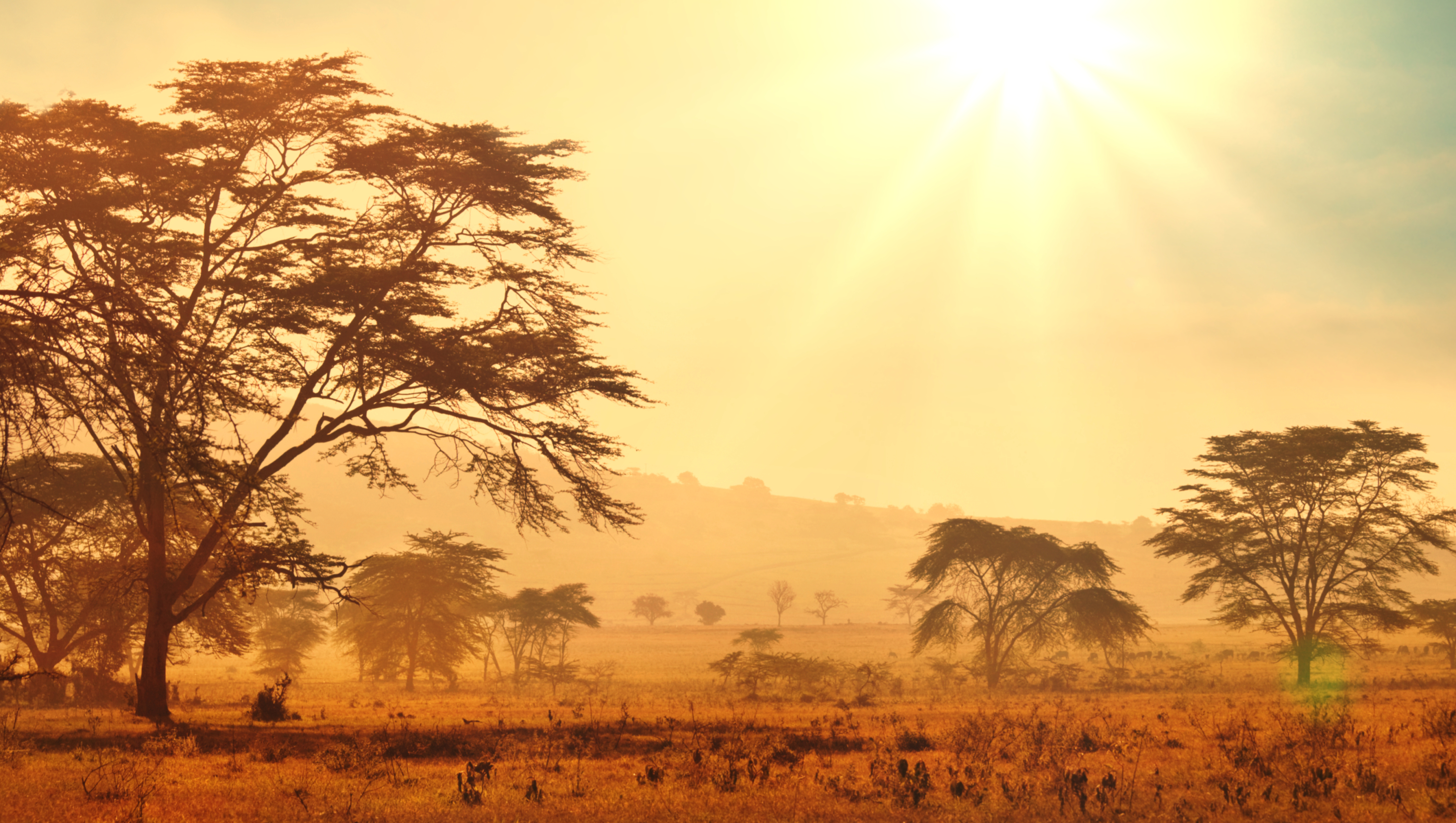 africa-mifi-wifi-rental